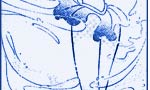 Sailor Mercury is here!